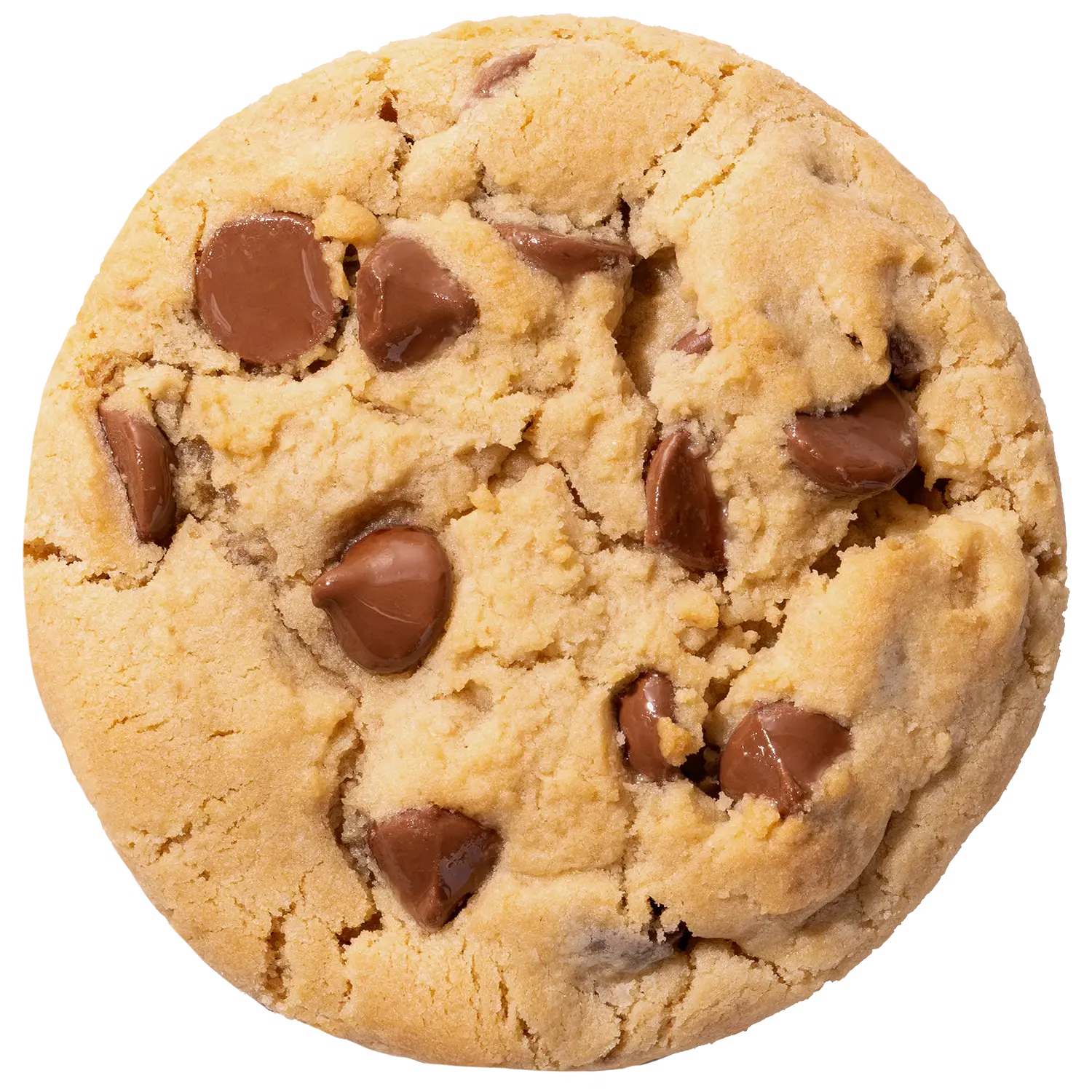 Chocolate Chip Cookie